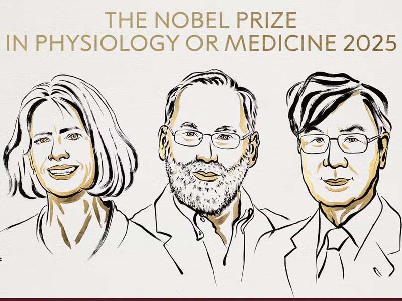 Nobel de Medicina 2025 vai para dois pesquisadores estadunidenses e um japonês, pelas descobertas sobre a tolerância imune periférica