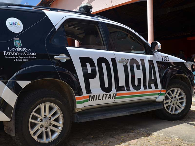 Homem é detido após matar cachorro com machado em Salitre