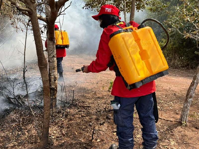 Prefeitura do Crato proíbe queimadas até o dia 30 de novembro