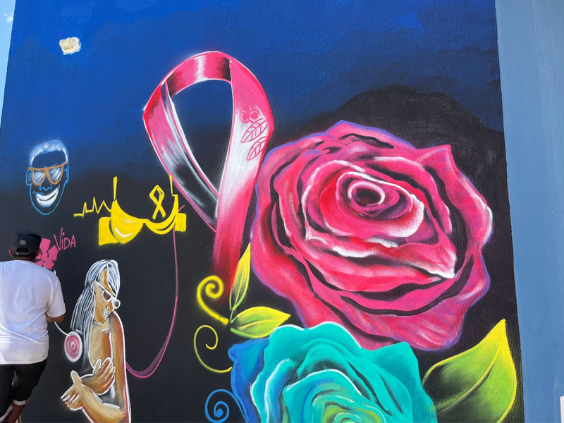 Vídeo: “Grafite pela vida” homenageia luta pela prevenção e combate ao câncer nas paredes da câmara de Juazeiro do Norte