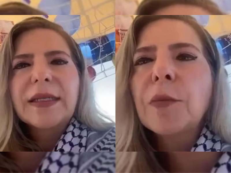 Governo do Ceará manifesta preocupação após barcos com deputada Luizianne Lins e ativistas serem interceptados por Israel