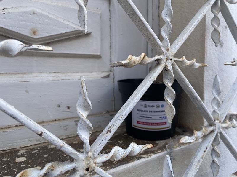 Prefeitura do Crato inicia implantação de armadilhas ovitrampas que auxiliam no combate ao Aedes aegypti