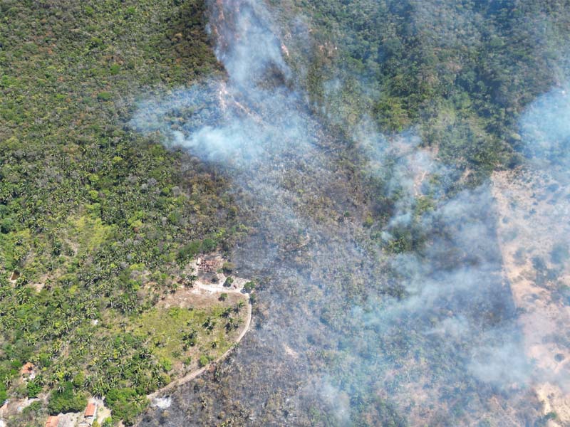 Ação conjunta do BPMA e ICMBio resulta na prisão de suspeitos de incêndio criminoso na zona rural do Crato