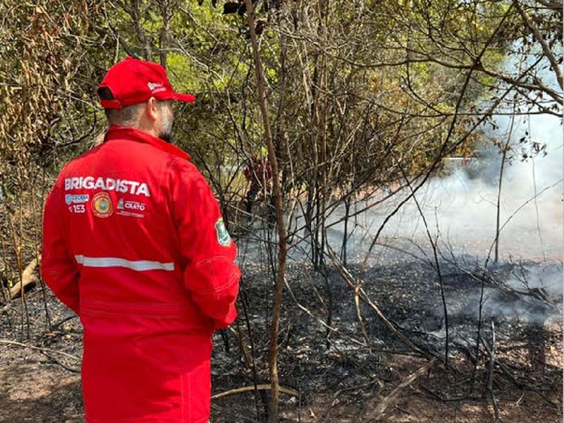 Brigada Municipal do Crato alerta sobre queimadas e denúncias dos casos criminosos