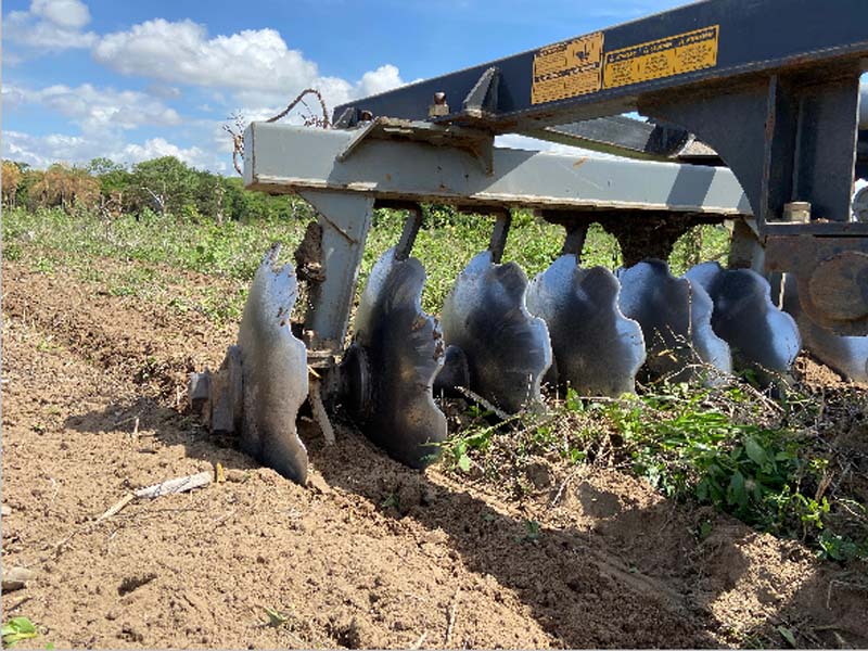 Prefeitura do Crato lança Proara 2025-2026, nesta sexta-feira, 14