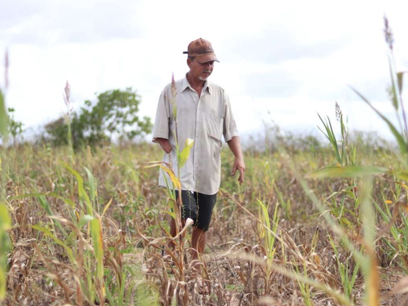 Garantia Safra 2025/2026 prorroga inscrições da região I até 1º de dezembro