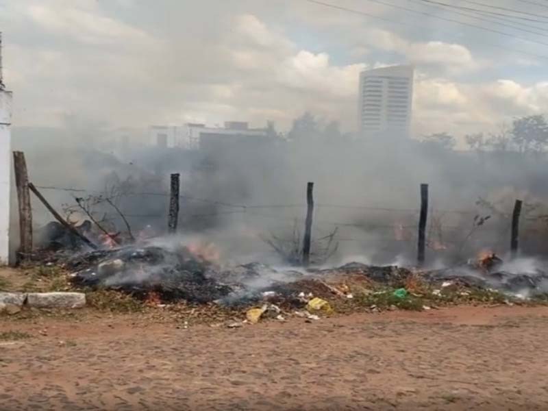 Área queimada no Cariri em cinco anos equivale ao território de Juazeiro do Norte
