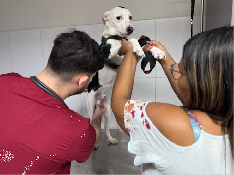 VetMóvel divulga cronograma completo de atendimentos gratuitos para dezembro no Crato