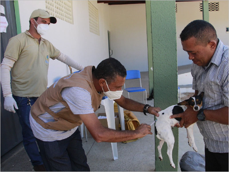 Em alusão ao Dezembro Verde, Barbalha inicia ações e feira de adoção