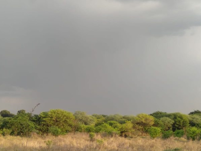 Chuvas se concentram no Cariri e sul do Ceará, com acumulados elevados em municípios da região