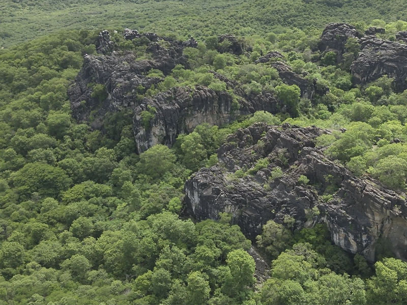 Governo do Estado cria cinco novas unidades de conservação na Caatinga cearense