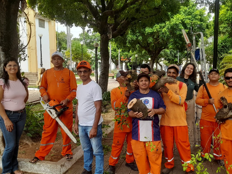 Crato oferta curso de poda e possibilita o cuidado com plantas de pequeno porte e árvores