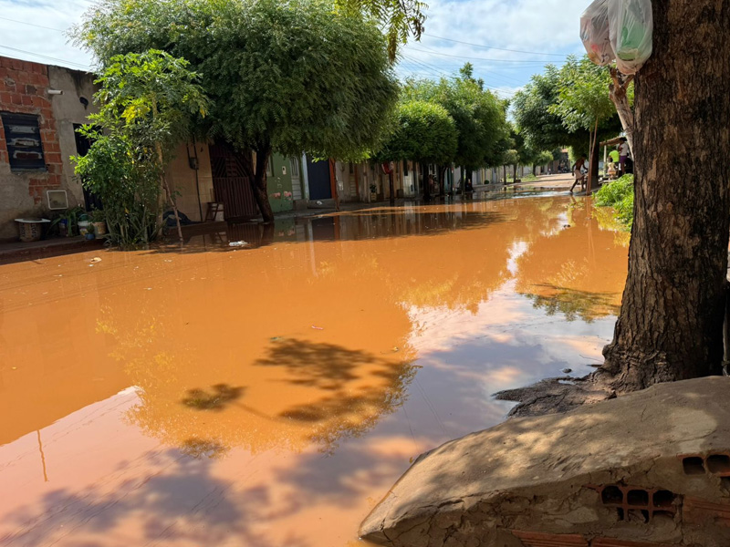 Ao Vivo: após chuvas, rua do bairro Frei Damião fica inundada e afeta tráfego dos moradores e dos veículos