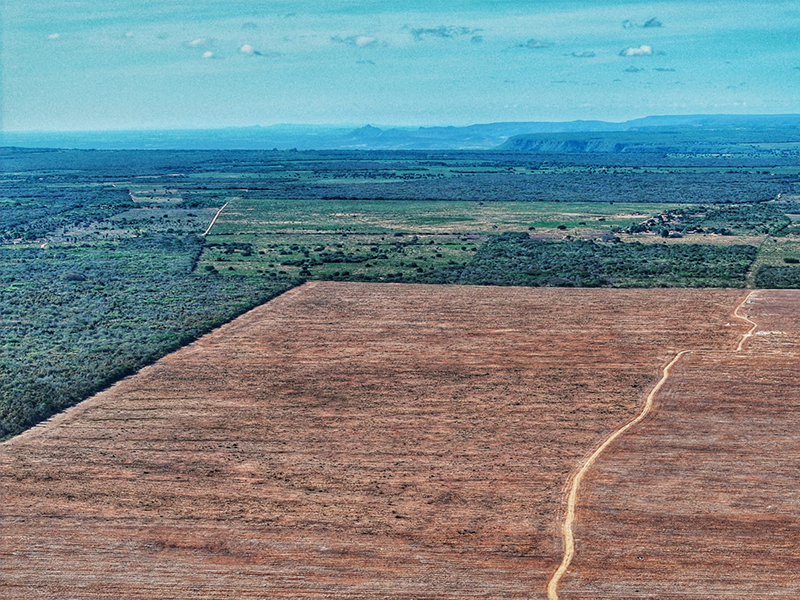 Seminário em Exu debate riscos socioambientais à Chapada do Araripe, principal reserva hídrica do Sertão
