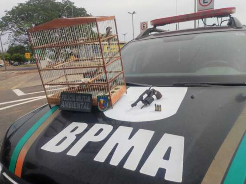 PMCE resgata aves silvestres e apreende arma de fogo em Juazeiro do Norte