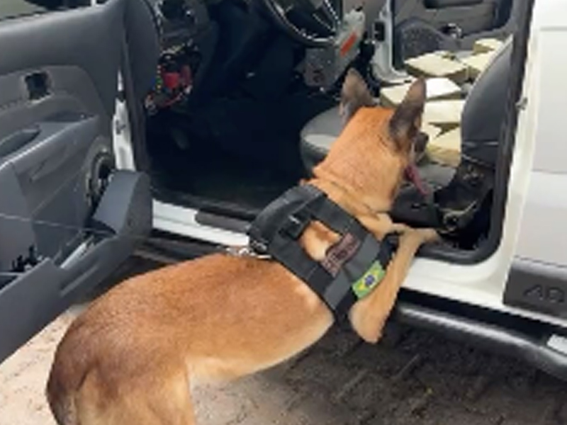 Vídeo: Cão-farejador Hannibal auxilia no achado de drogas e munições que estavam no painel de carro vindo de Fortaleza para o Cariri