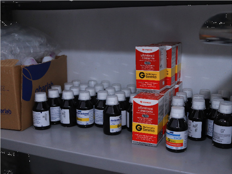 Juazeiro do Norte disponibiliza cinco postos estratégicos de saúde para romeiros