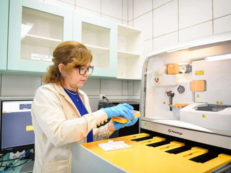 Ceará lidera identificação de pessoas desaparecidas no Brasil