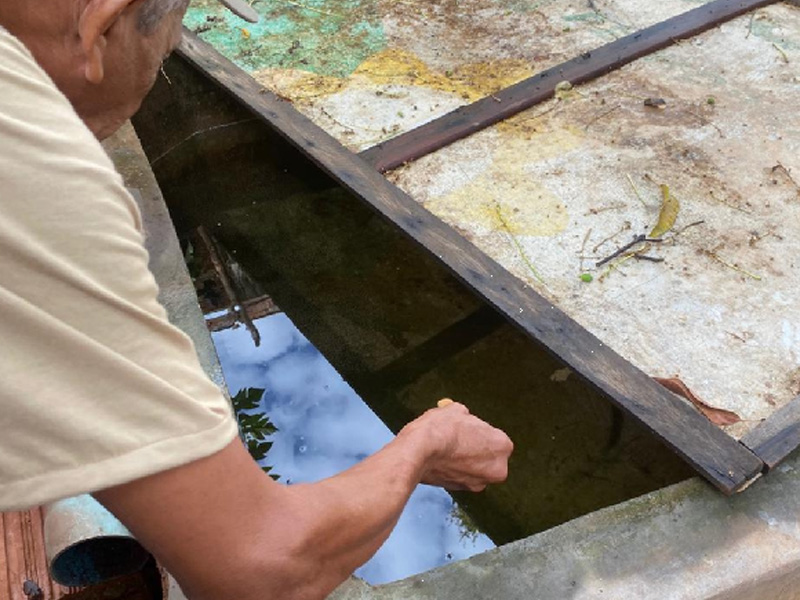 Combate ao Aedes aegypti é intensificado em Juazeiro do Norte com ações integradas de saúde