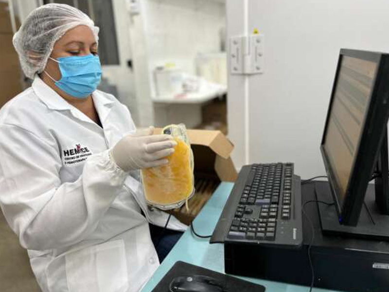 Hemoce alcança a marca de 200 mil bolsas de plasma enviadas à Hemobrás para a produção de medicamentos essenciais para o SUS
