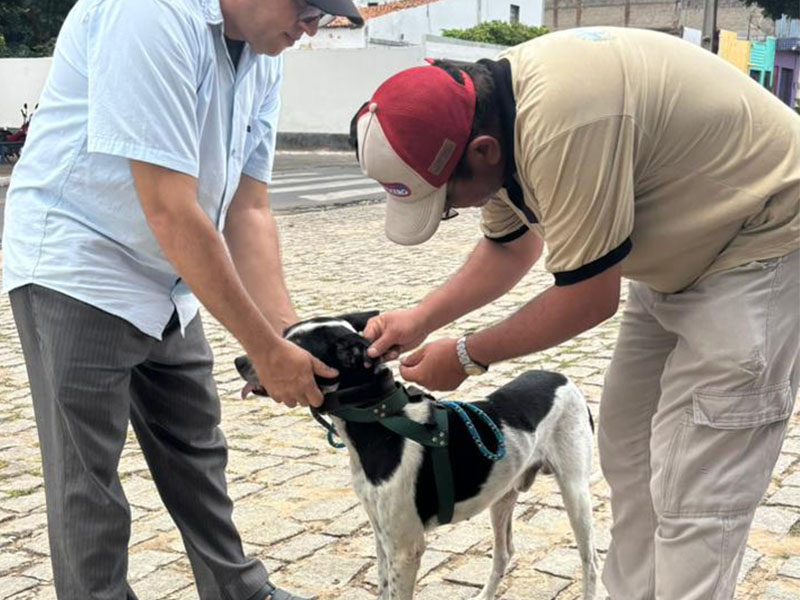 Prefeitura de Potengi promove ação de saúde e proteção animal em parceria com a ONG Patinhas de Luz