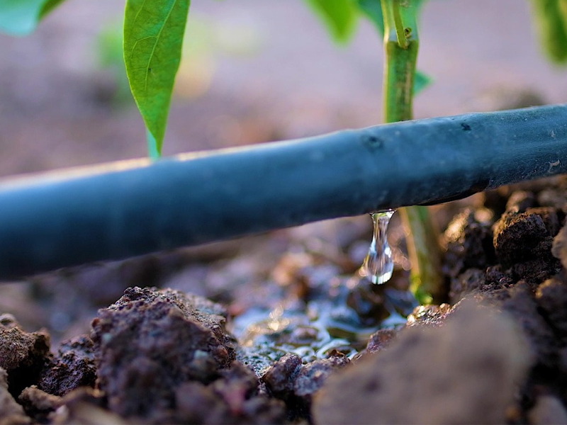 Prefeitura de Potengi avança no apoio ao campo com novo programa de irrigação