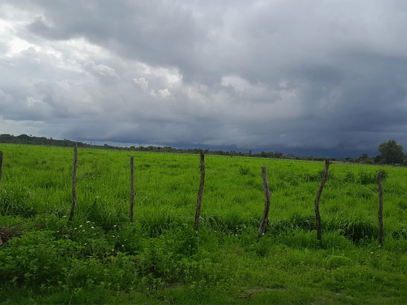 Cariri deve registrar chuvas mais intensas no início da semana, aponta previsão da Funceme