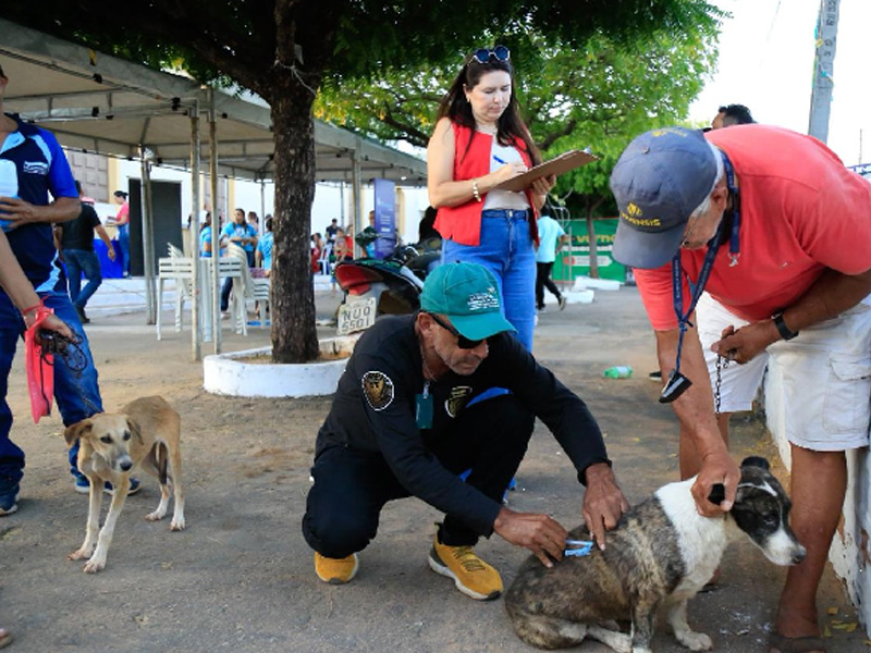 Barbalha cria canal de atendimento para denúncias voltados a causa animal