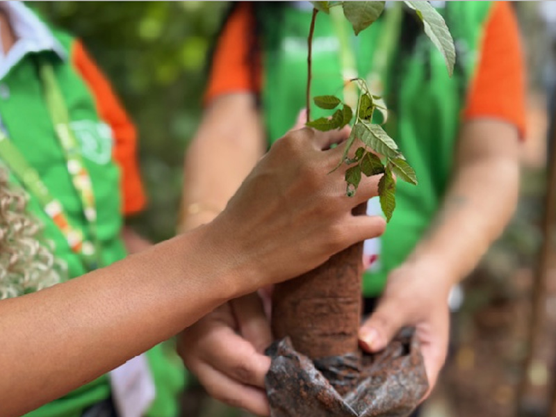 Crato conquista classificação A no Selo Município Verde e se destaca no Ceará