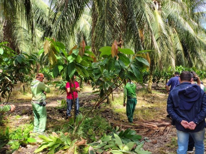 Com apoio do Centec, produtores cearenses acessam técnicas de produção de culturas de alto valor agregado