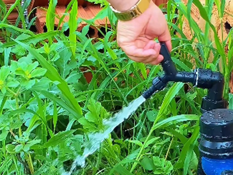 Após décadas, comunidade do Sítio Novo começa a receber água encanada em Araripe