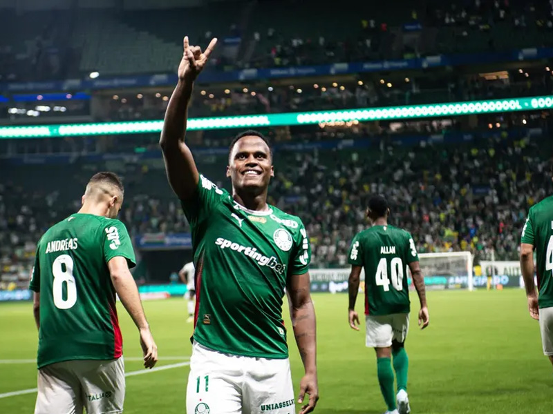 Palmeiras derrota Botafogo e assume liderança do Campeonato Brasileiro