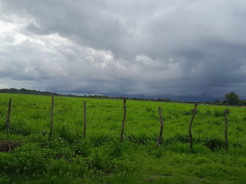 Cariri deve ter início de semana com chuva e tempo instável, aponta Funceme