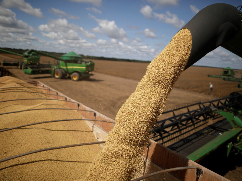 Guerra no Irã impacta comércio e derruba exportações brasileiras ao Golfo em mais de 30%