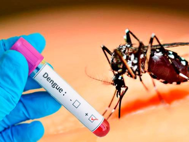 Casos de dengue no Brasil caem 75% em 2026