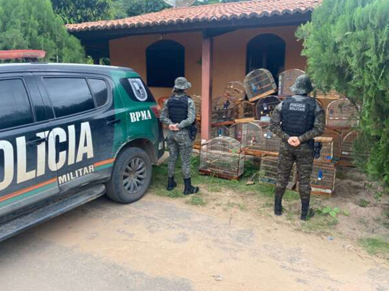 Homem é detido e 21 aves silvestres são resgatadas pela PMCE na zona rural de Crato