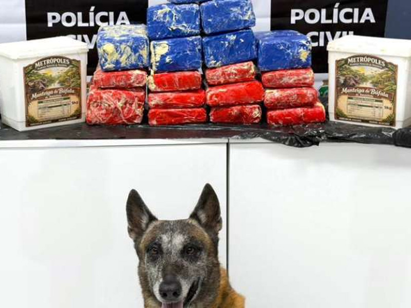 Receita Federal e Polícia Civil interceptam 27 kg de skunk em potes de manteiga contrabandeados pelo Aeroporto Internacional de Fortaleza e prendem três suspeitos