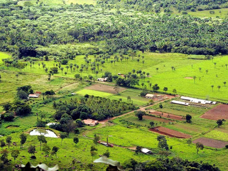 Fazenda estuda criar fundo garantidor para renegociação de dívidas do agronegócio