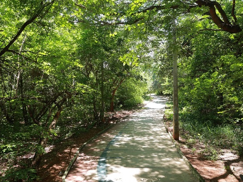 Juazeiro do Norte realiza Caminhada do Maio Roxo nesta sexta-feira (29)