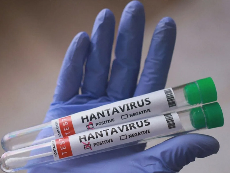 Paraná confirma dois casos de hantavírus e investiga outros 11 no estado