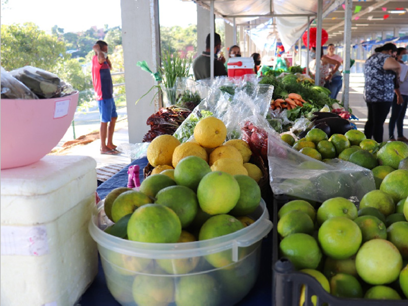 Credenciamento para o Programa de Aquisição de Alimentos (PAA) acontece no dia 14, em Crato