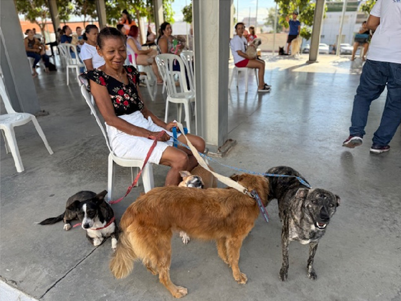 Giro Pet Ceará realiza atendimentos gratuitos e reforça ações de bem-estar animal no Crato