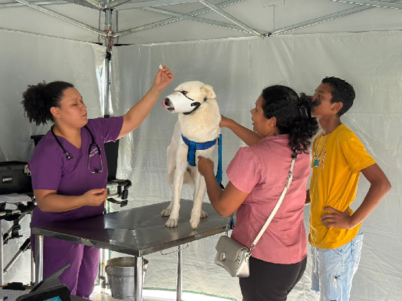 Pet Ceará Móvel inicia atendimentos no Crato com meta de mil castrações até domingo