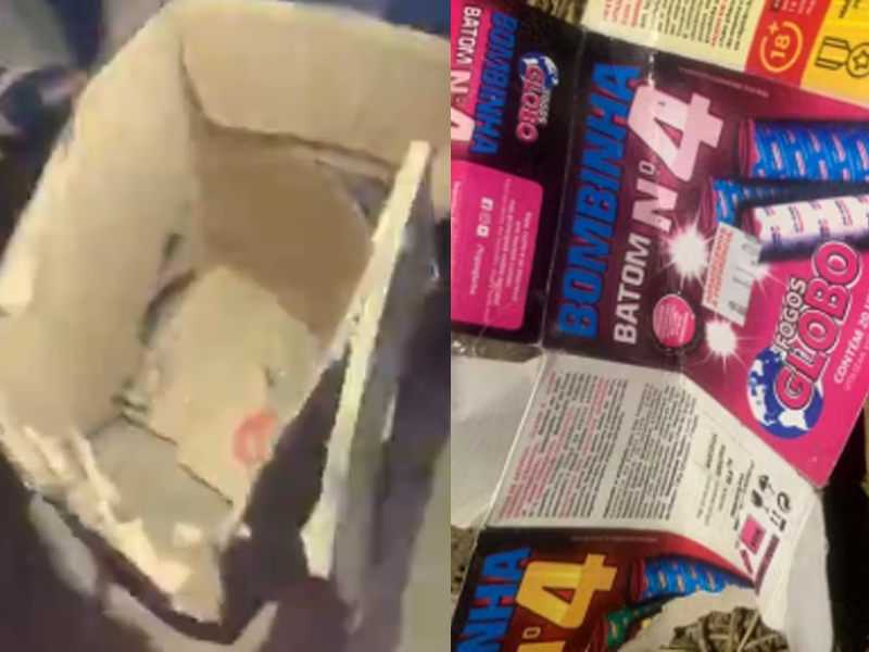 Vídeo: Gato é torturado e morto após crianças acenderem bomba de São João em caixa de papelão em Assaré; pais dos menores são conduzidos a delegacia