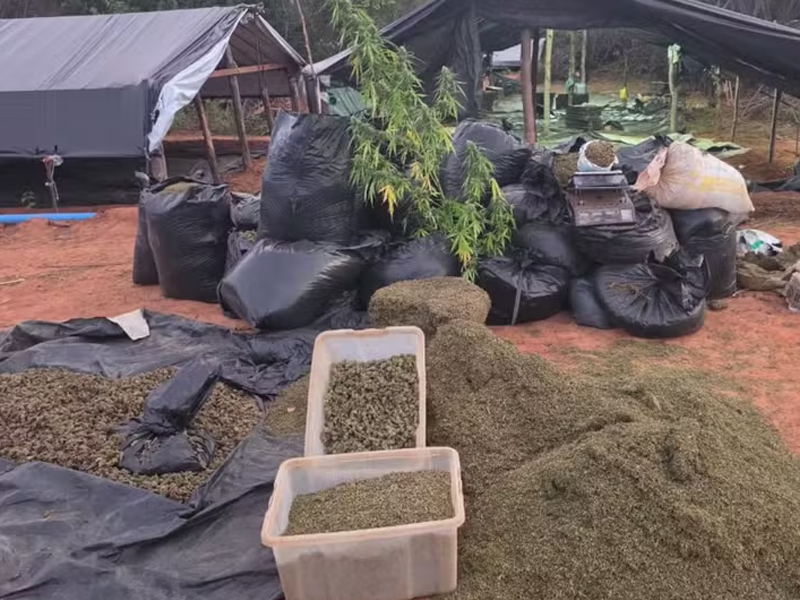 Delegados investigados no caso da ‘fazenda da maconha’ são exonerados de cargos de chefia no Ceará