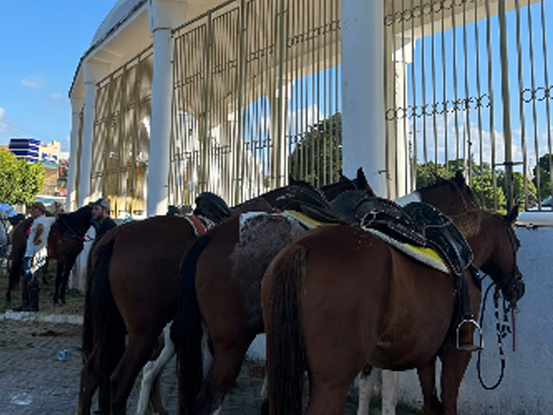 Vídeo: Participante da cavalgada fala que desde a infância presencia evento em Juazeiro do Norte
