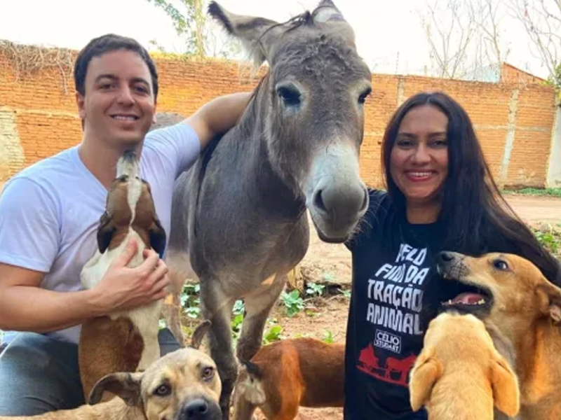 Jacqueline Gouveia e Célio Studart trocam críticas nas redes sociais por disputa sobre causa animal em Juazeiro