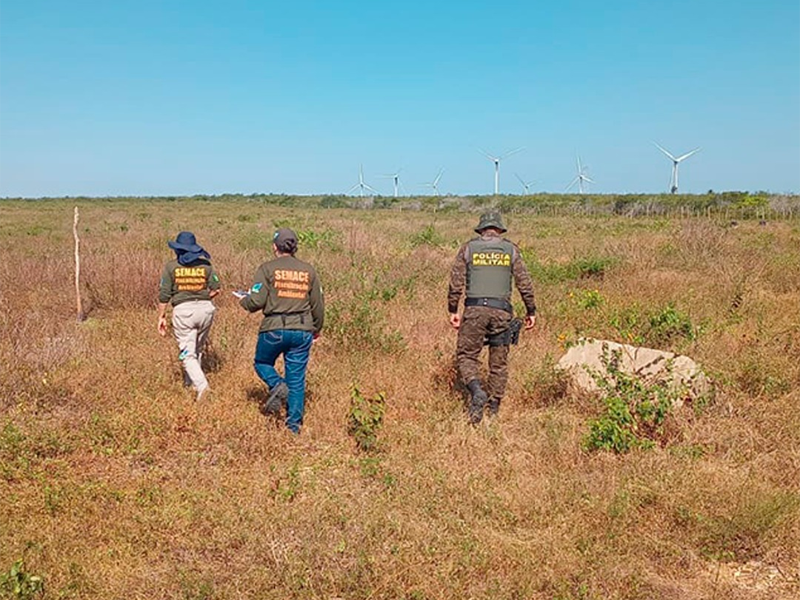 Operação Mata Atlântica em Pé identifica mais de 134 hectares desmatados ilegalmente no Ceará em 2026