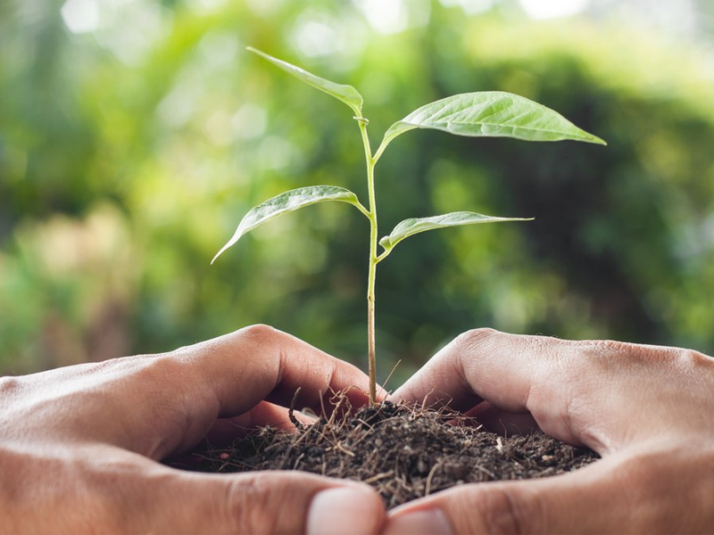 Salitre Alcança Nota Máxima no IQM 2026 e Refirma Compromisso com a Sustentabilidade