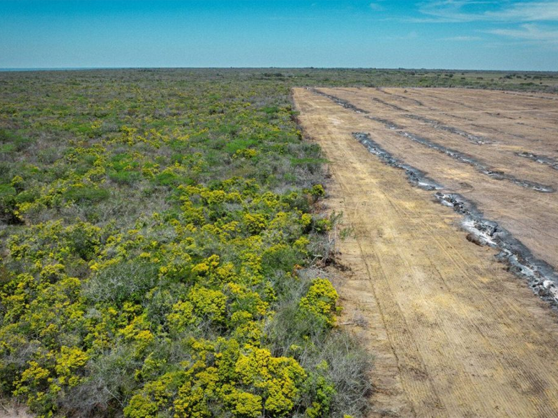 Plano de Manejo libera 89,86% da APA da Chapada do Araripe para o agronegócio